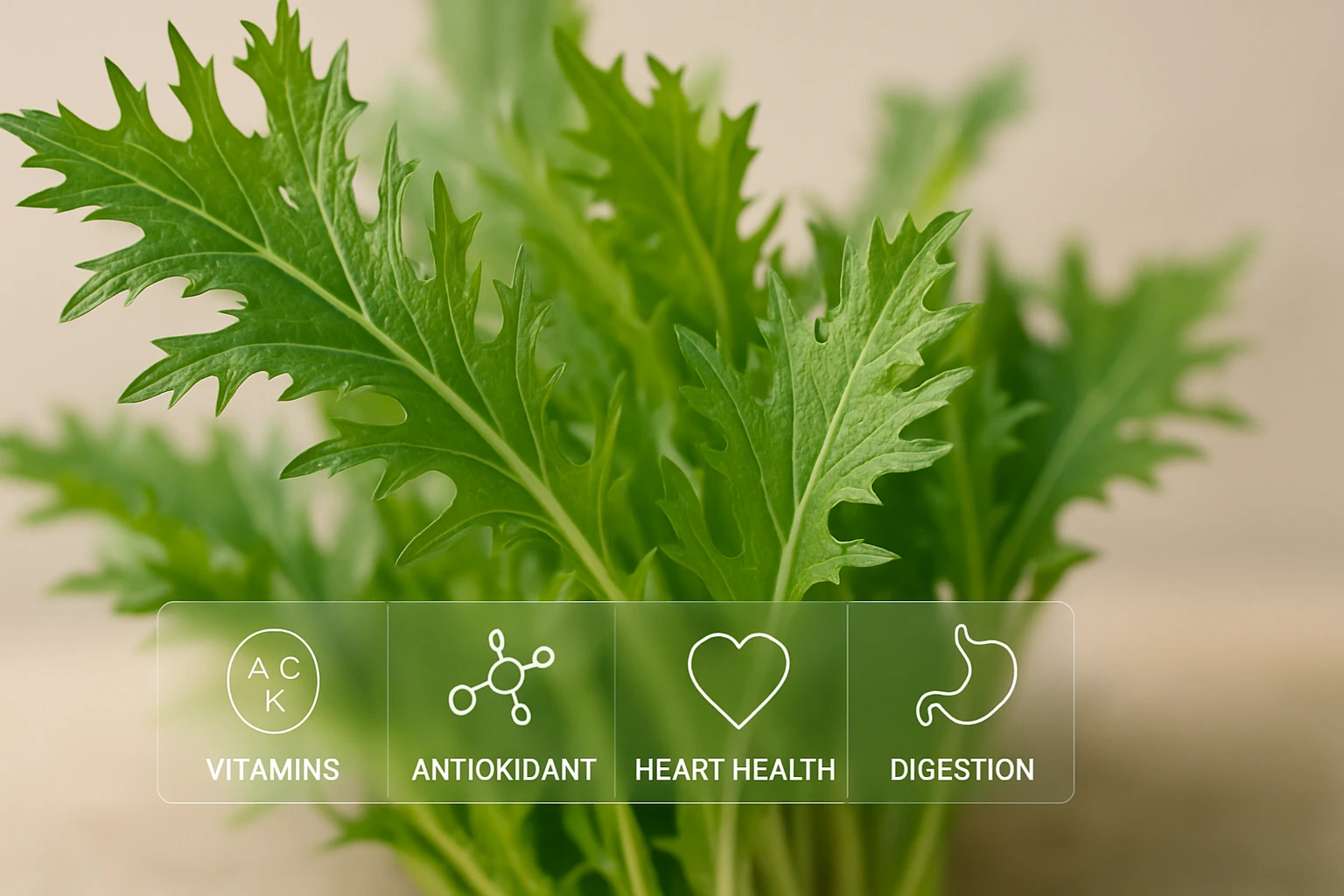 Friss zöld levelek, amelyek gazdagok vitaminokban és antioxidánsokban.